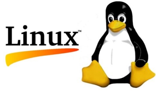 Установка Linux на Мазурова